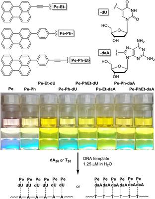 Influences of Linker and Nucleoside for the Helical Self-Assembly of Perylene Along DNA Templates